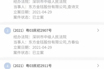不能一退了之东方金钰支持诉讼案获深圳中院受理