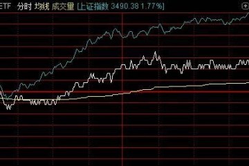 大白马被券商齐吼买入结果股价跌到腰斩基金经理最后一刻才加仓