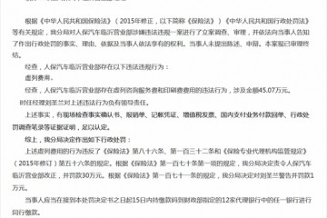 人保汽车临沂营业部被罚30万虚列咨询服务费和印刷费费用