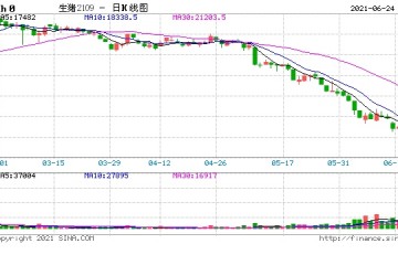 统计局6月中旬生猪（外三元）价格13.9元/千克环比跌12%