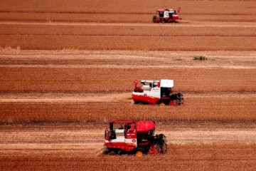 三大粮食作物农业保险政策扩面提标逐步覆盖13个粮食主产省份所有产粮大县