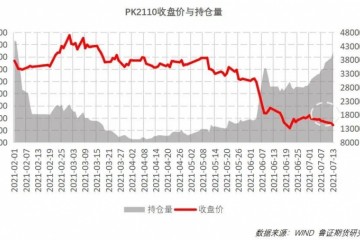 进口米压力与种植面积减少预期并存花生期货后市怎么走