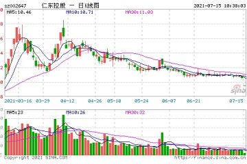 妖股仁东控股栽了涉嫌信披违法违规遭立案调查